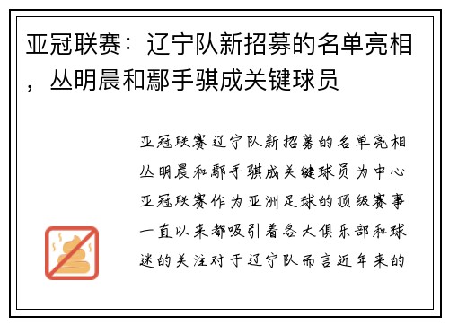 亚冠联赛：辽宁队新招募的名单亮相，丛明晨和鄢手骐成关键球员