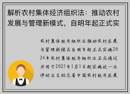 解析农村集体经济组织法：推动农村发展与管理新模式，自明年起正式实施
