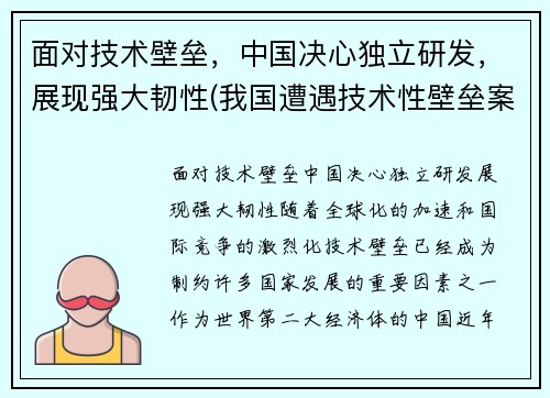 面对技术壁垒，中国决心独立研发，展现强大韧性(我国遭遇技术性壁垒案例)