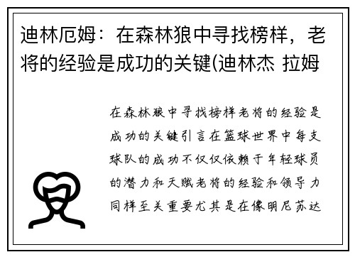迪林厄姆：在森林狼中寻找榜样，老将的经验是成功的关键(迪林杰 拉姆)