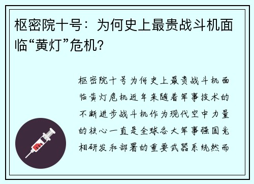 枢密院十号：为何史上最贵战斗机面临“黄灯”危机？