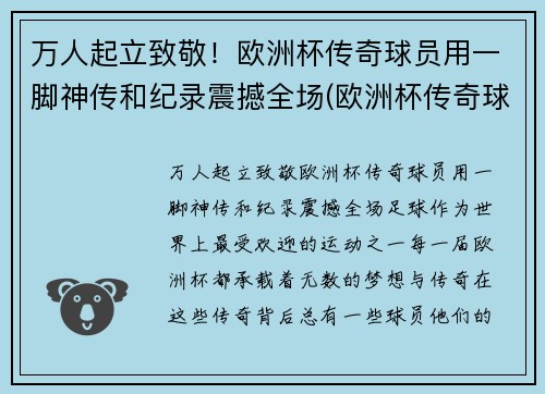 万人起立致敬！欧洲杯传奇球员用一脚神传和纪录震撼全场(欧洲杯传奇球场纪录片)